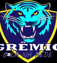 GREMIO Logo Kids Cup 2023